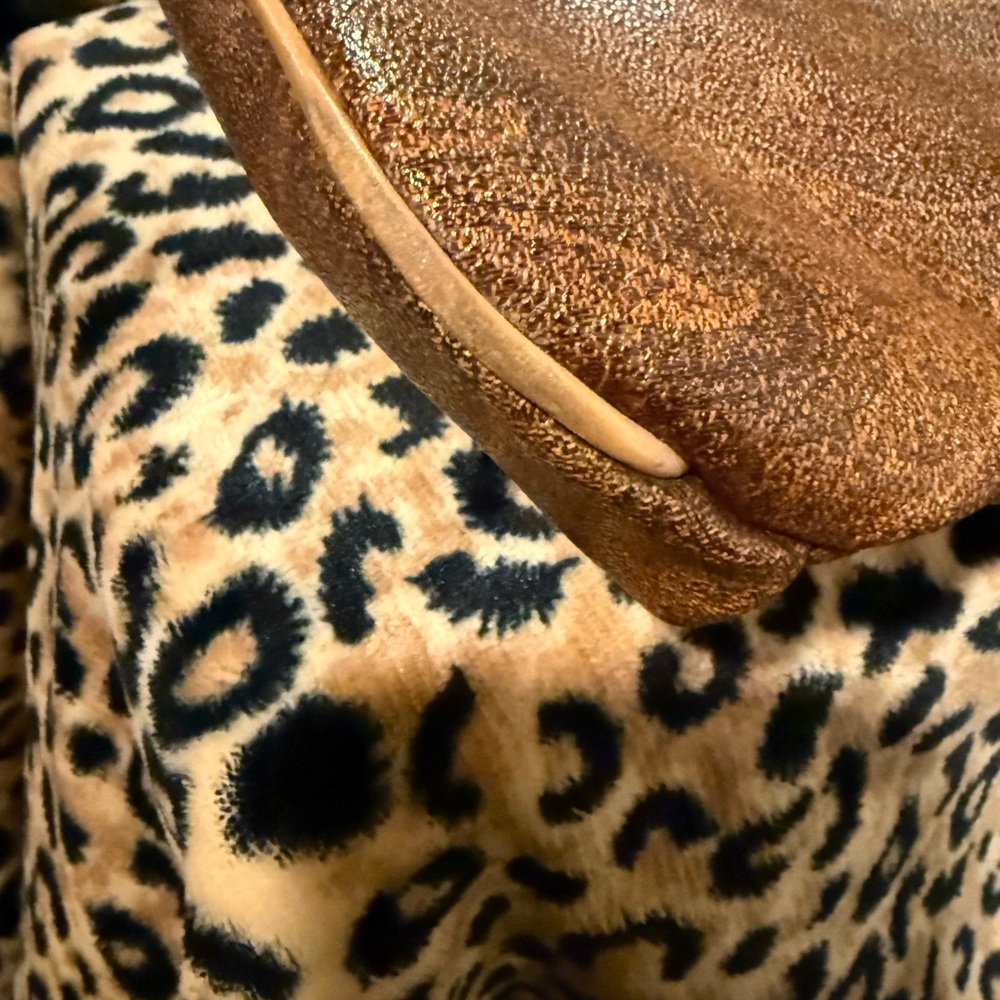 Etro Handbag - Picture 10 of 11